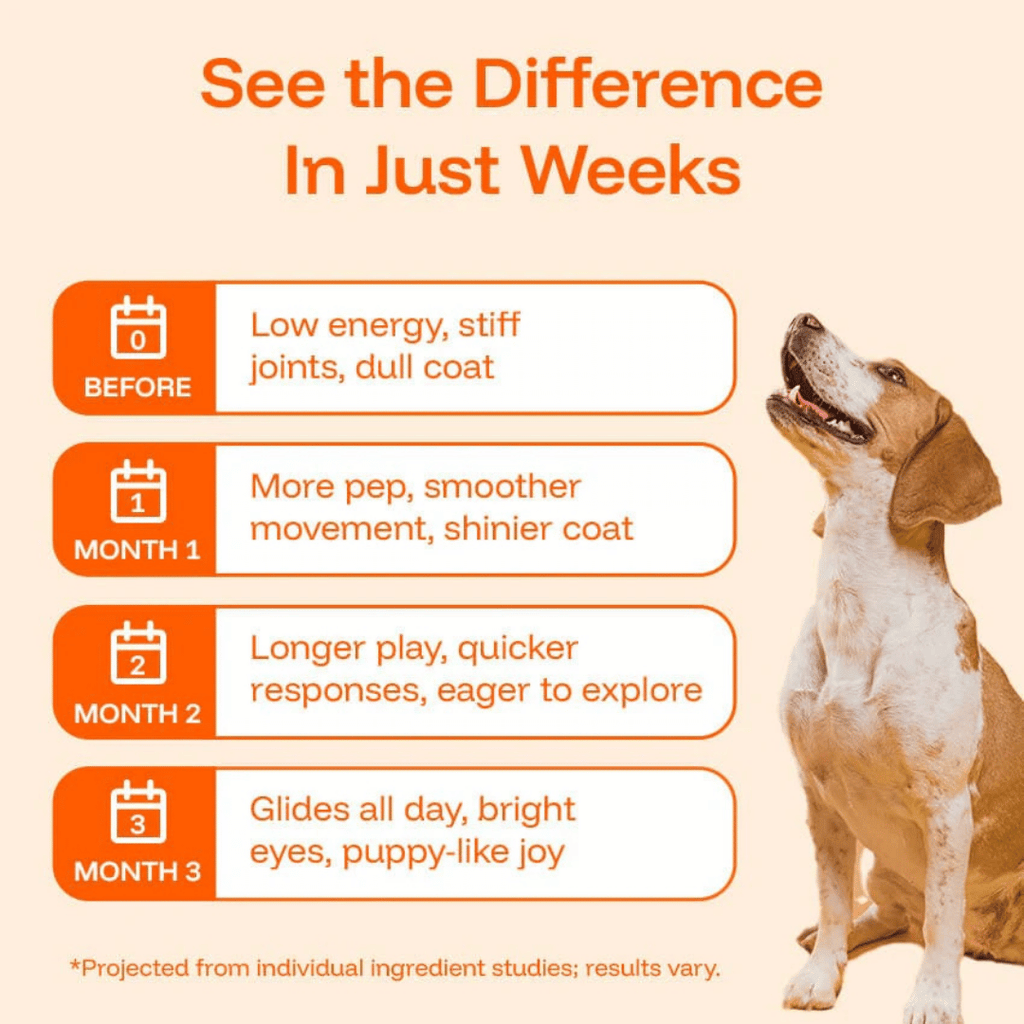 Daily Dog Supplement