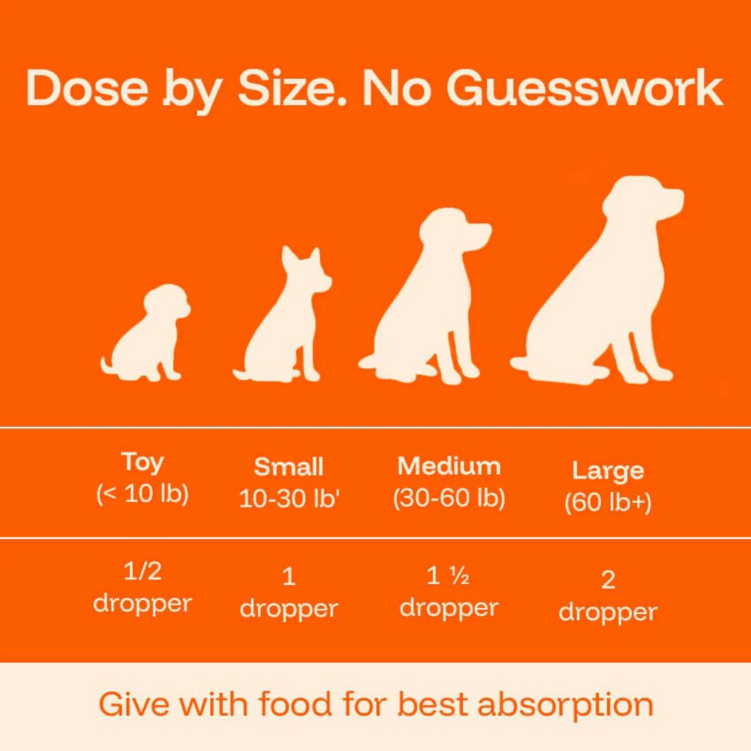 Daily Dog Supplement