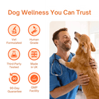 Daily Dog Supplement