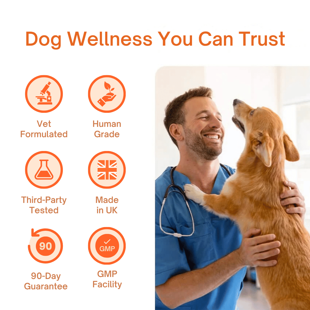 Daily Dog Supplement