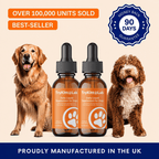 Daily Dog Supplement