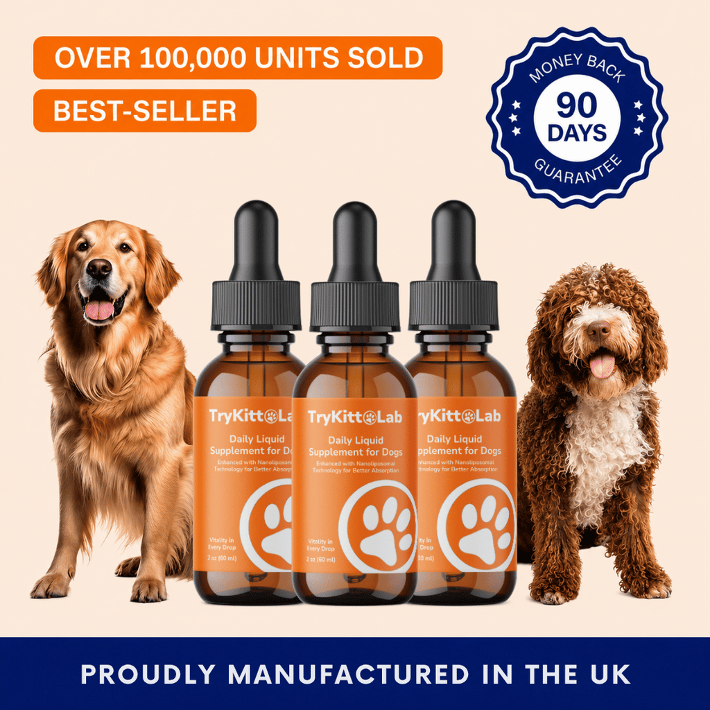 Daily Dog Supplement